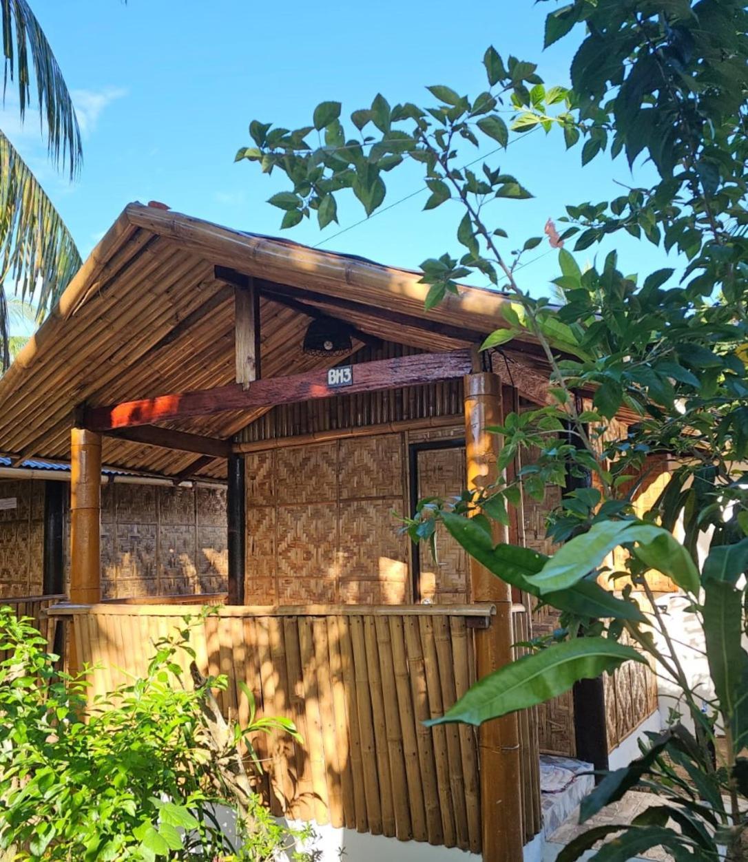Big Bamboo Beach Resort Sipalay Exteriér fotografie